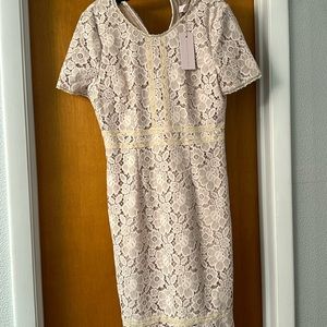 Rachel Parcell blush lace dress